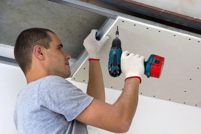 Ceiling Removal Service in Denver County, CO